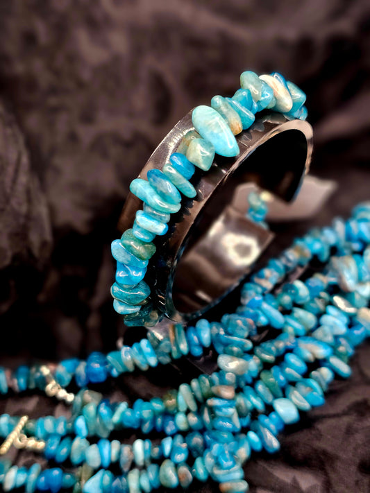 Apatite Chip
